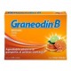 Graneodin B 10 Mg Sabor...